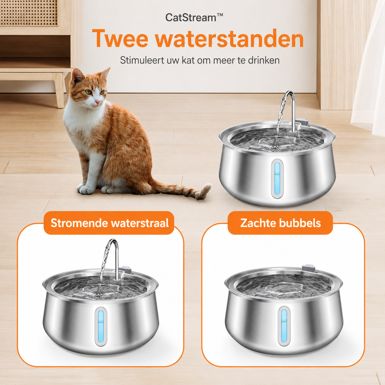 CatStream™ | De Ultieme Levensverzekering Voor De Nieren Van Uw Kat