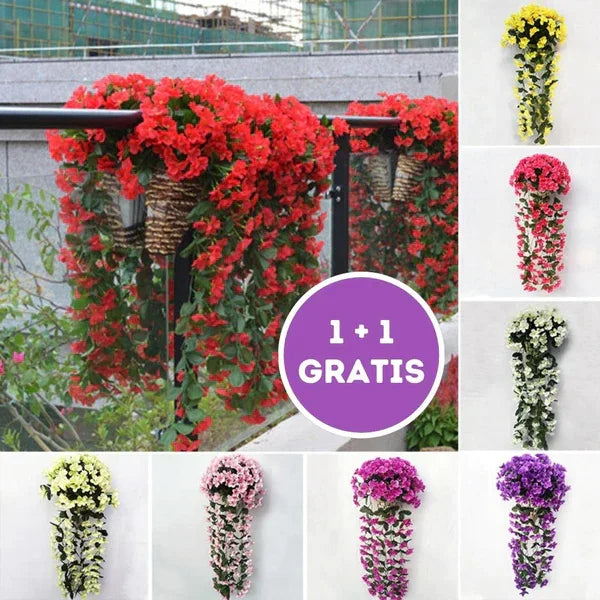 PrettyPetals Plantes suspendues