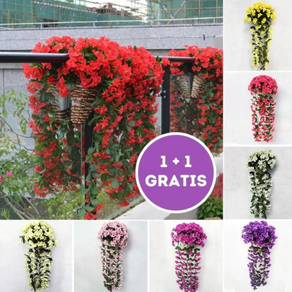 PrettyPetals Plantes suspendues