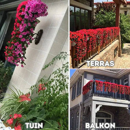 PrettyPetals Plantes suspendues