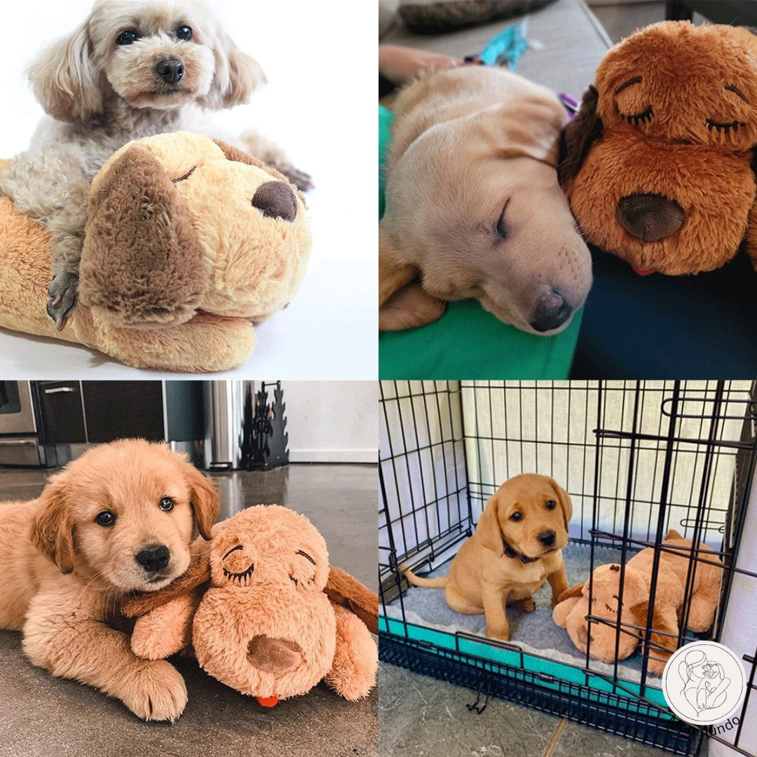 SnuggleBuddy - Peluche pour chien avec un vrai battement de cœur 💕