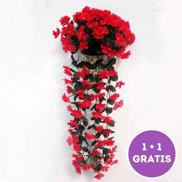PrettyPetals Plantes suspendues
