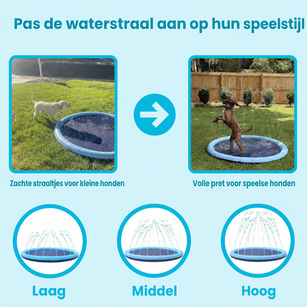 DoggySplash™| Direct Veilige Afkoeling En Plezier Voor Uw Hond