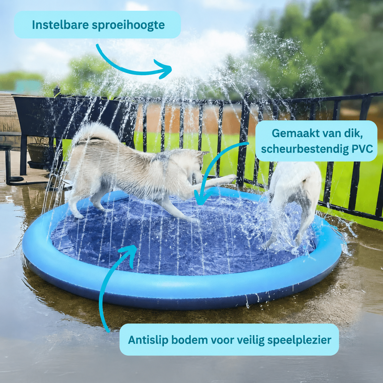 DoggySplash™| Direct Veilige Afkoeling En Plezier Voor Uw Hond