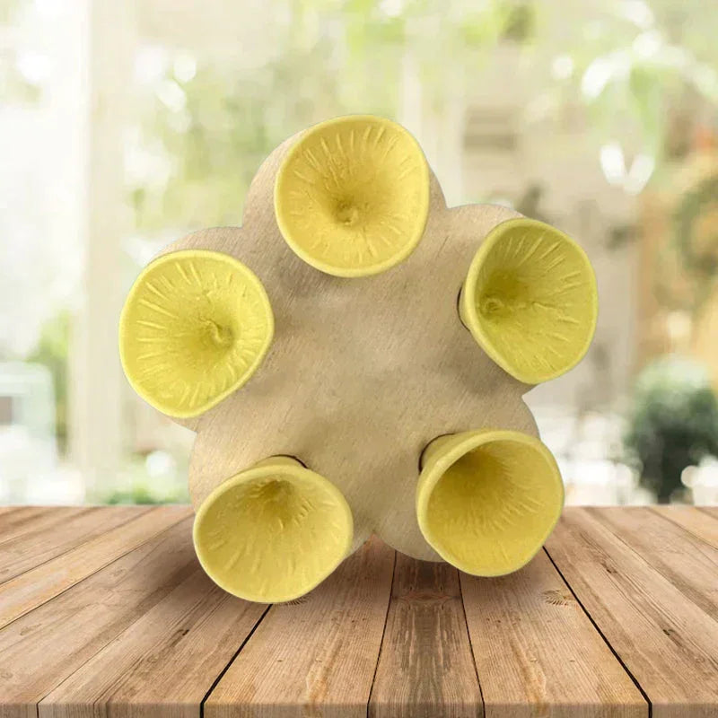 BeeVive - Abreuvoir pour abeilles et papillons (5+5 gratuits)