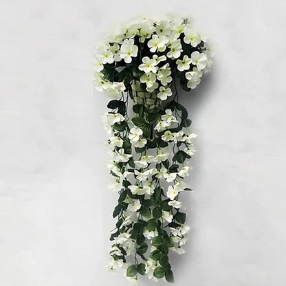 PrettyPetals Plantes suspendues