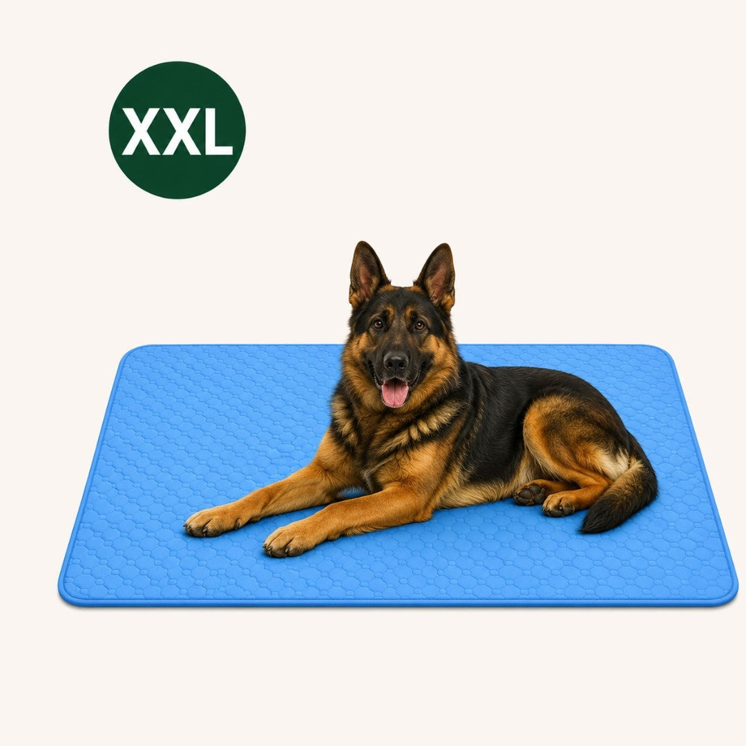 IcyNap Mat | Zelfkoelende hondenmat voor ultiem comfort op warme dagen