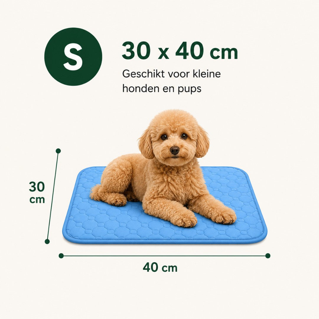 IcyNap Mat | Zelfkoelende hondenmat voor ultiem comfort op warme dagen