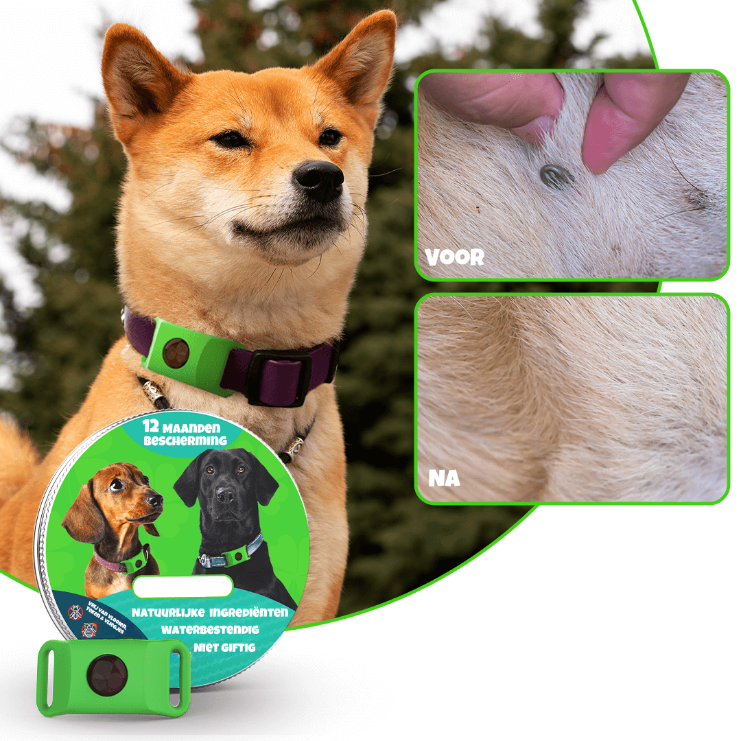 TickShield™ - 12 maanden beschermd tegen teken en vlooien | 1+1 gratis