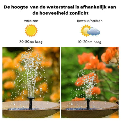 SolarSplash | Maak van je tuin een vogelparadijs