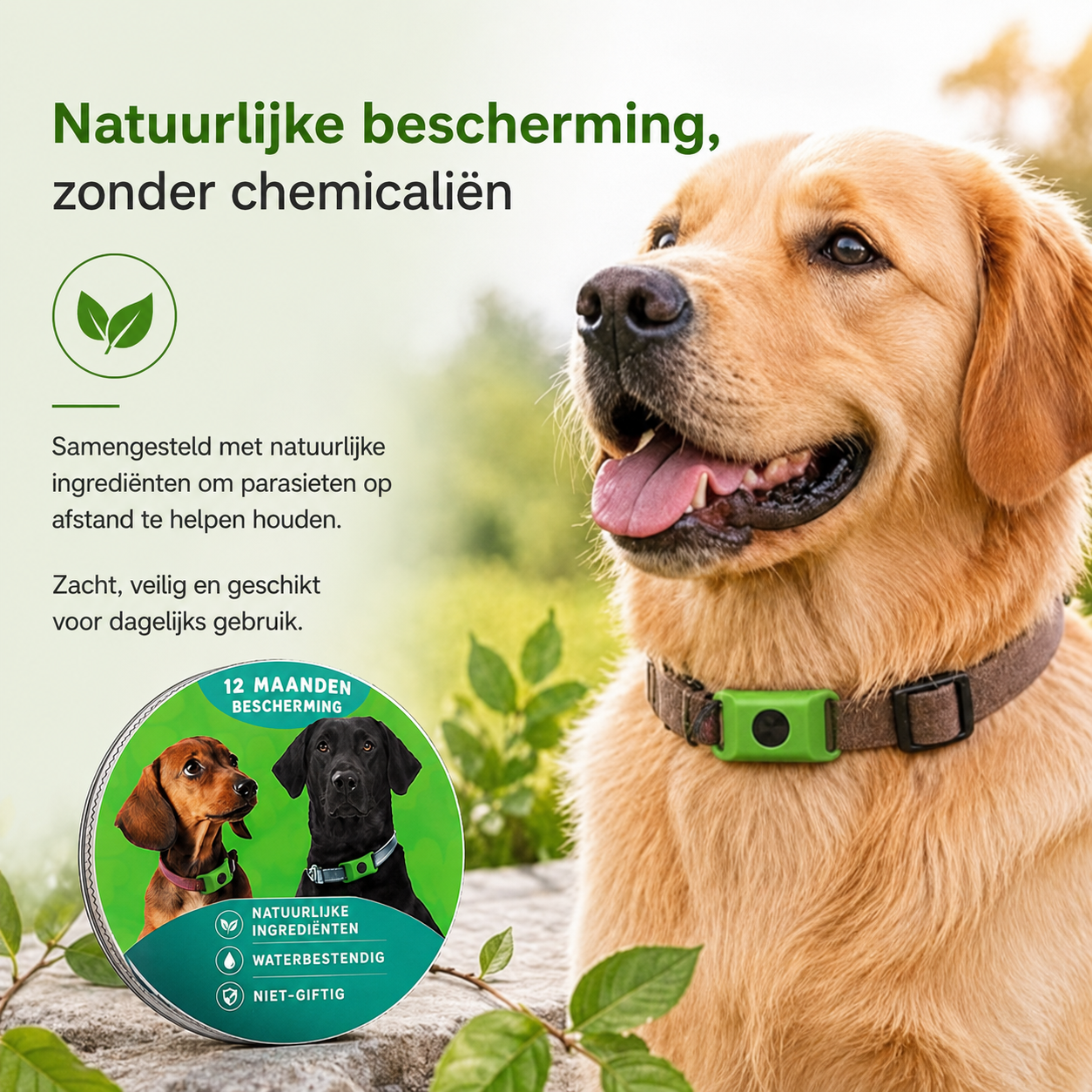 TickOff™ | 12 maanden natuurlijke bescherming tegen vlooien en teken | 1+1 GRATIS