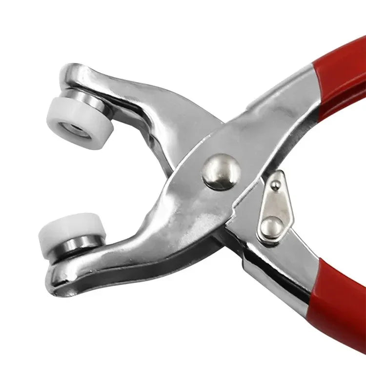 SnapMaster - Lumingo