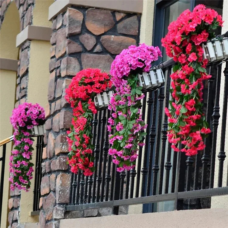 PrettyPetals Plantes suspendues